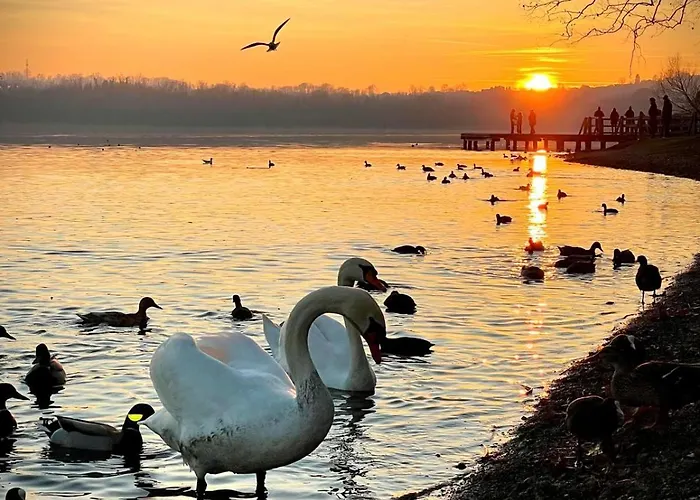 Casacri 시티글리오